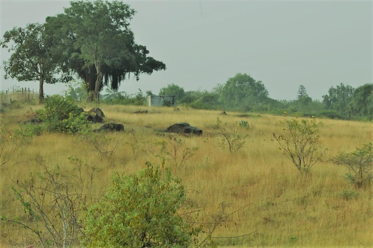 Aarraams Farms & Resorts Masinagudi Exterior photo